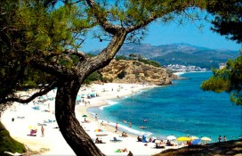 repphoto7172470.jpg repphoto7172470.jpg