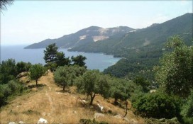 repphoto7222764.jpg repphoto7222764.jpg