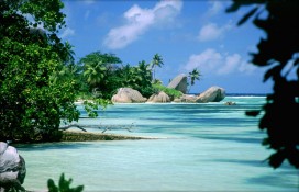 seyshelles17.jpg seyshelles17.jpg