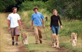 sp.bfcd0.jpg sp.bfcd0.jpg