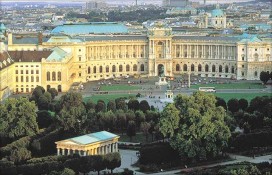 vena21.jpg vena21.jpg