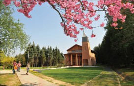 zalakarosh8.jpg zalakarosh8.jpg