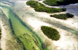 zanzibar5.jpg zanzibar5.jpg