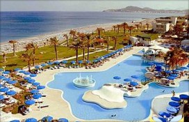 0a21e_1rpalladium1.jpg 0a21e_1rpalladium1.jpg