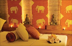 100891.jpg 100891.jpg