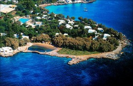 101381.jpg 101381.jpg