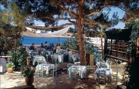 101384.jpg 101384.jpg