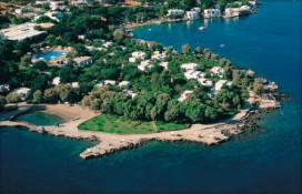 101386.jpg 101386.jpg