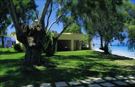 101579.jpg 101579.jpg