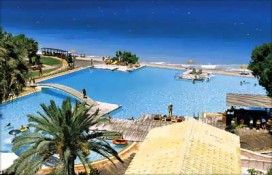 101580.jpg 101580.jpg