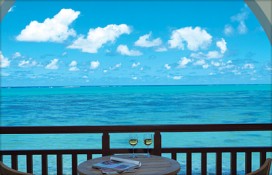 102061.jpg 102061.jpg