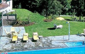 110822.jpg 110822.jpg