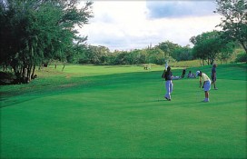 114470.jpg 114470.jpg