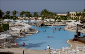 1157382356.jpg 1157382356.jpg