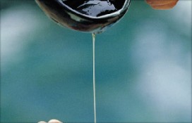 115856.jpg 115856.jpg