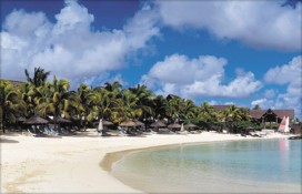 115858.jpg 115858.jpg