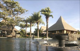 117775.jpg 117775.jpg