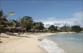 117779.jpg 117779.jpg