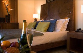 117782.jpg 117782.jpg