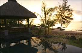 117785.jpg 117785.jpg