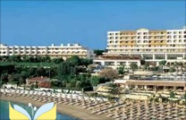 11806_256488641.jpg 11806_256488641.jpg