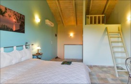 11825036.jpg 11825036.jpg