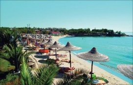 11968534671.jpg 11968534671.jpg