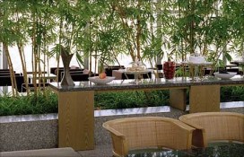 121067.jpg 121067.jpg