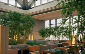 121068.jpg 121068.jpg