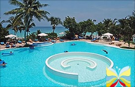 121620.jpg 121620.jpg