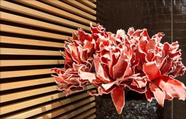 12392587.jpg 12392587.jpg