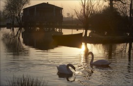 125022.jpg 125022.jpg