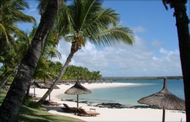 128322.jpg 128322.jpg