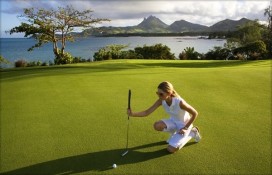 128333.jpg 128333.jpg