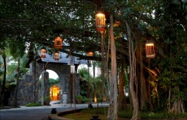 128334.jpg 128334.jpg