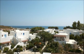 128881.jpg 128881.jpg