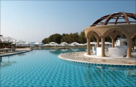 128893.jpg 128893.jpg