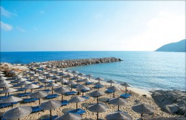 138718.jpg 138718.jpg