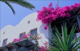 139565.jpg 139565.jpg