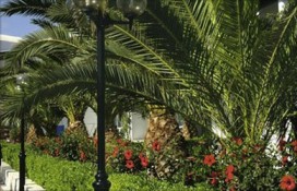 139584.jpg 139584.jpg