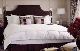 145536.jpg 145536.jpg