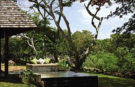 148520.jpg 148520.jpg