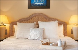 166983.jpg 166983.jpg