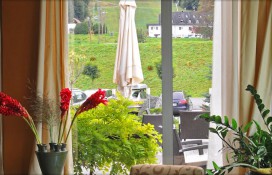 1e85e_26534345.jpg 1e85e_26534345.jpg