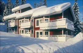 Vargen Bjornen Vargen Bjornen