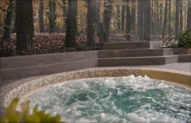 20650015.jpg 20650015.jpg