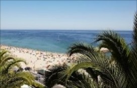 222222.jpg 222222.jpg