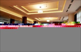 2462a_43494135.jpg 2462a_43494135.jpg