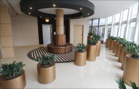 28645181.jpg 28645181.jpg