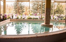 31067540.jpg 31067540.jpg